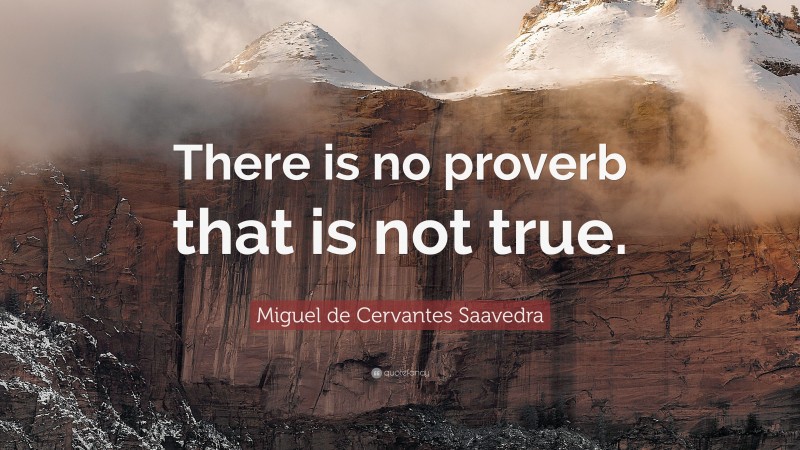 Miguel de Cervantes Saavedra Quote: “There is no proverb that is not true.”