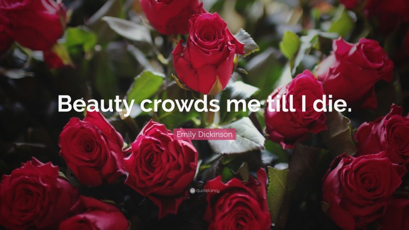 Emily Dickinson Quote: “Beauty crowds me till I die.”