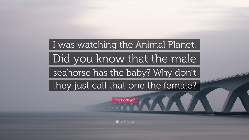 Jim Gaffigan Quote: “I was watching the Animal Planet. Did you know that the male seahorse has the baby? Why don’t they just call that one the female?”