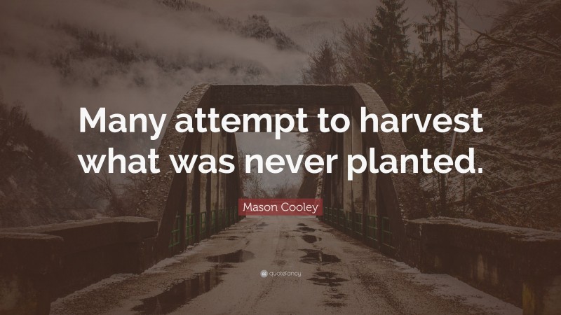 Mason Cooley Quote: “Many attempt to harvest what was never planted.”