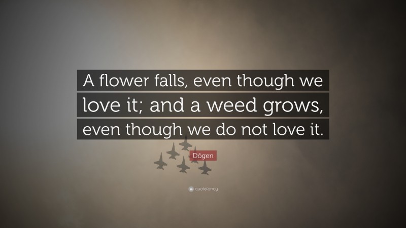 Dōgen Quote: “A flower falls, even though we love it; and a weed grows, even though we do not love it.”