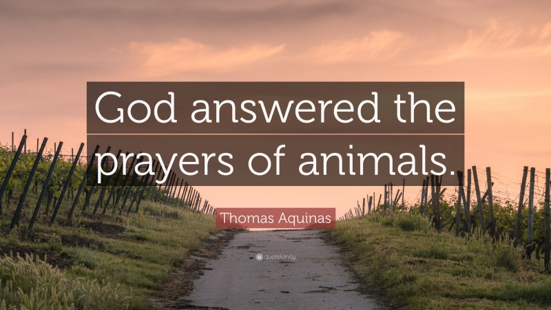 Thomas Aquinas Quote: “God answered the prayers of animals.”