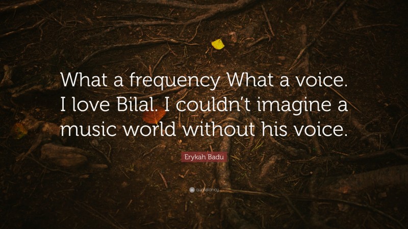 Erykah Badu Quote: “What a frequency What a voice. I love Bilal. I couldn’t imagine a music world without his voice.”