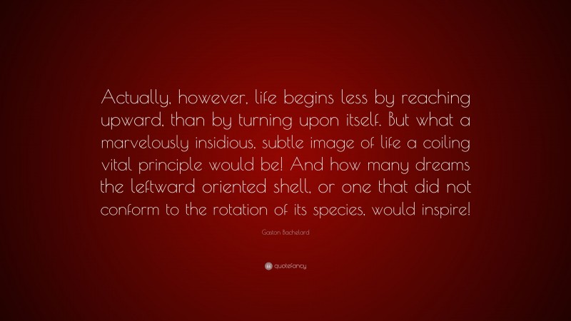 Gaston Bachelard Quote: “Actually, however, life begins less by reaching upward, than by turning upon itself. But what a marvelously insidious, subtle image of life a coiling vital principle would be! And how many dreams the leftward oriented shell, or one that did not conform to the rotation of its species, would inspire!”