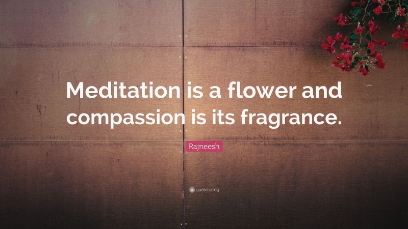 Rajneesh Quote: “Meditation is a flower and compassion is its fragrance.”