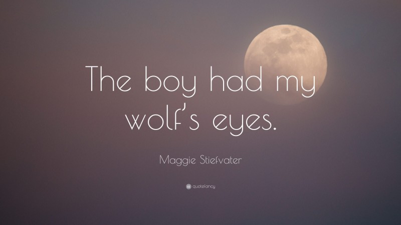 Maggie Stiefvater Quote: “The boy had my wolf’s eyes.”