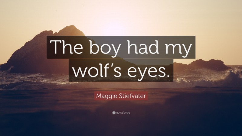 Maggie Stiefvater Quote: “The boy had my wolf’s eyes.”