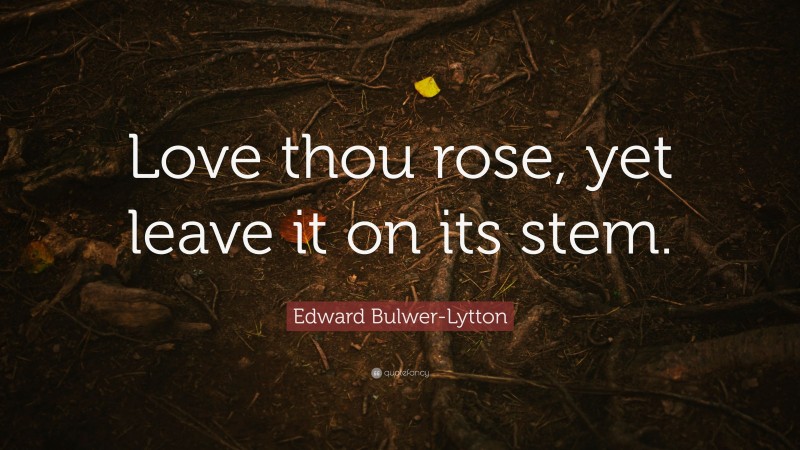 Edward Bulwer-Lytton Quote: “Love thou rose, yet leave it on its stem.”