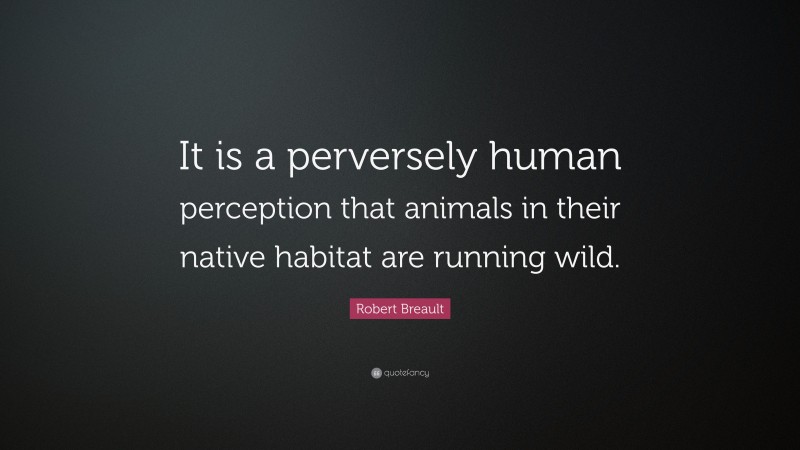 Robert Breault Quote: “It is a perversely human perception that animals in their native habitat are running wild.”