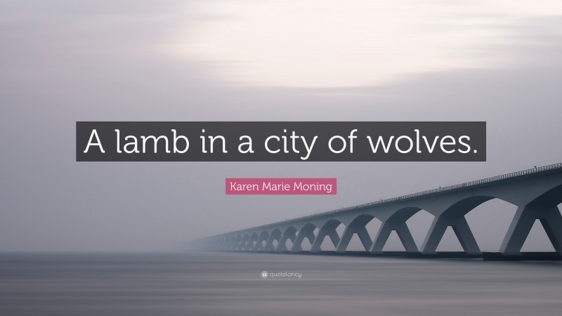 Karen Marie Moning Quote: “A lamb in a city of wolves.”