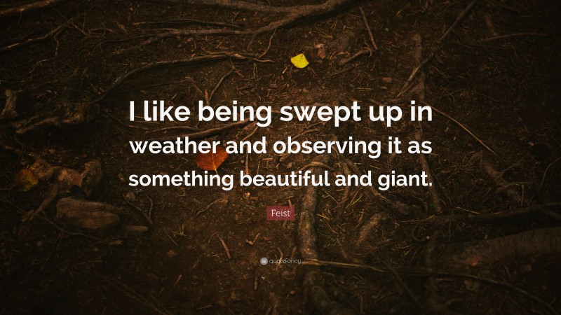 Feist Quote: “I like being swept up in weather and observing it as something beautiful and giant.”