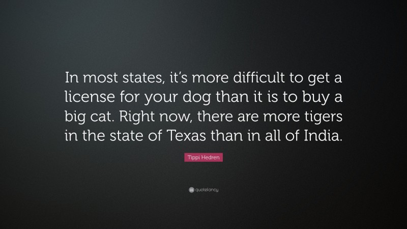 Tippi Hedren Quote: “In most states, it’s more difficult to get a license for your dog than it is to buy a big cat. Right now, there are more tigers in the state of Texas than in all of India.”