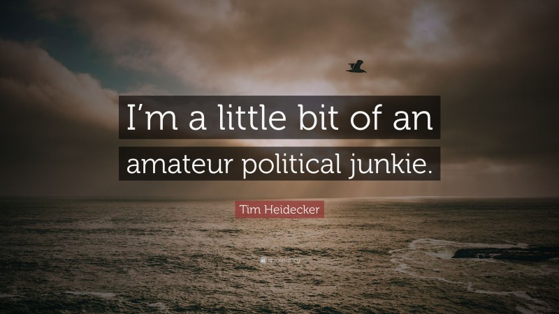 Tim Heidecker Quote: “I’m a little bit of an amateur political junkie.”