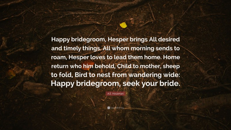 A.E. Housman Quote: “Happy bridegroom, Hesper brings All desired and timely things. All whom morning sends to roam, Hesper loves to lead them home. Home return who him behold, Child to mother, sheep to fold, Bird to nest from wandering wide: Happy bridegroom, seek your bride.”