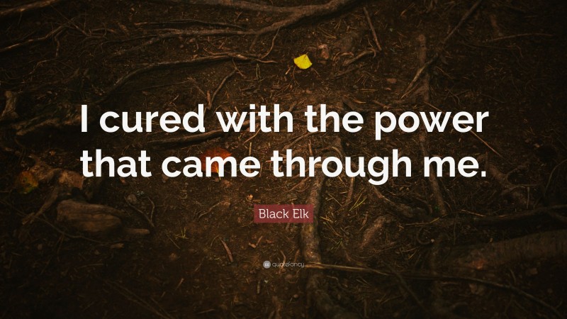 Black Elk Quote: “I cured with the power that came through me.”