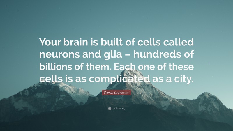 David Eagleman Quote: “Your brain is built of cells called neurons and glia – hundreds of billions of them. Each one of these cells is as complicated as a city.”