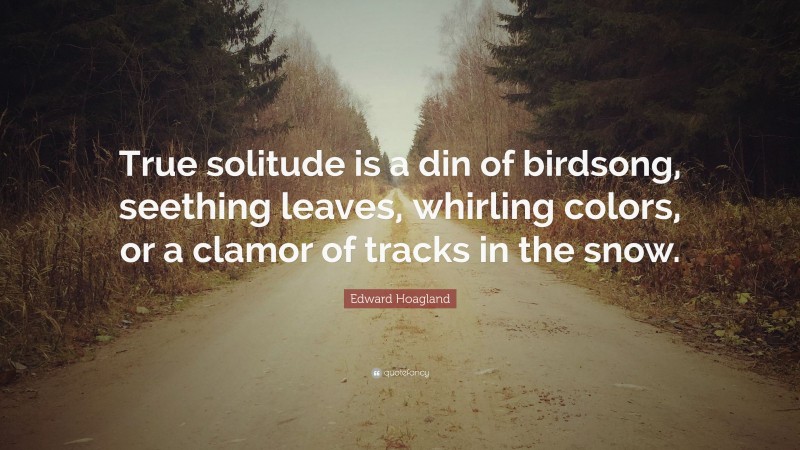 Edward Hoagland Quote: “True solitude is a din of birdsong, seething leaves, whirling colors, or a clamor of tracks in the snow.”