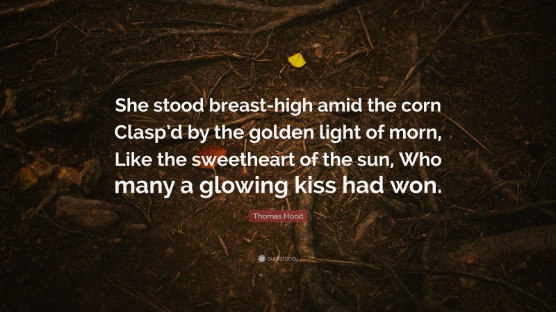 Thomas Hood Quote: “She stood breast-high amid the corn Clasp’d by the golden light of morn, Like the sweetheart of the sun, Who many a glowing kiss had won.”