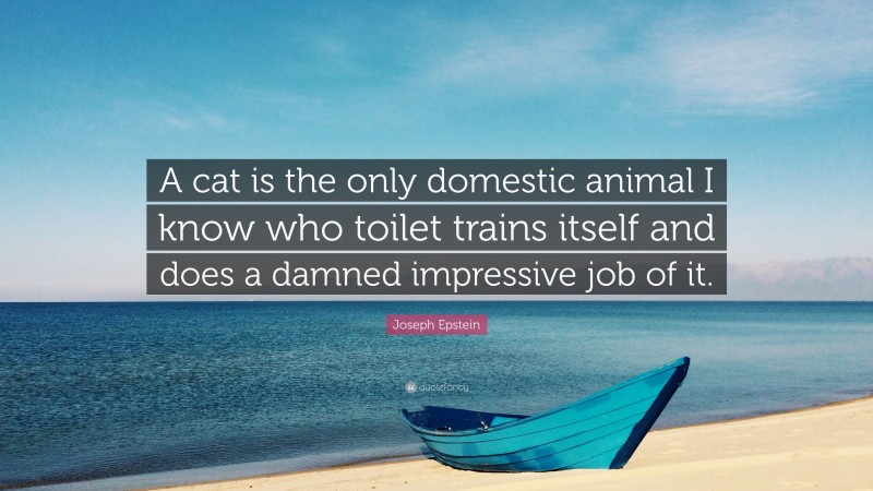 Joseph Epstein Quote: “A cat is the only domestic animal I know who toilet trains itself and does a damned impressive job of it.”