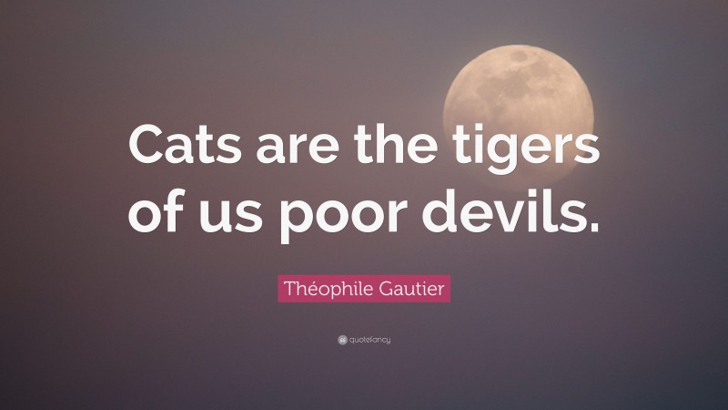 Théophile Gautier Quote: “Cats are the tigers of us poor devils.”