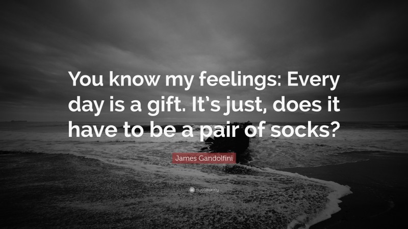 James Gandolfini Quote: “You know my feelings: Every day is a gift. It’s just, does it have to be a pair of socks?”