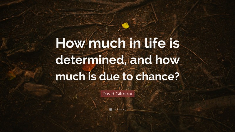 David Gilmour Quote: “How much in life is determined, and how much is due to chance?”