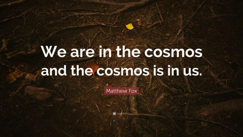 Matthew Fox Quote: “We are in the cosmos and the cosmos is in us.”