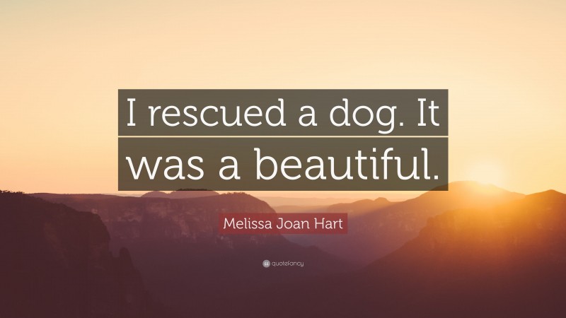 Melissa Joan Hart Quote: “I rescued a dog. It was a beautiful.”