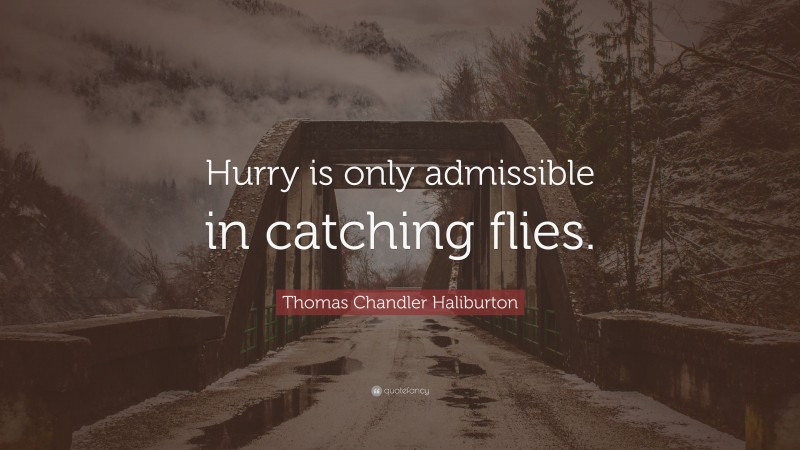 Thomas Chandler Haliburton Quote: “Hurry is only admissible in catching flies.”