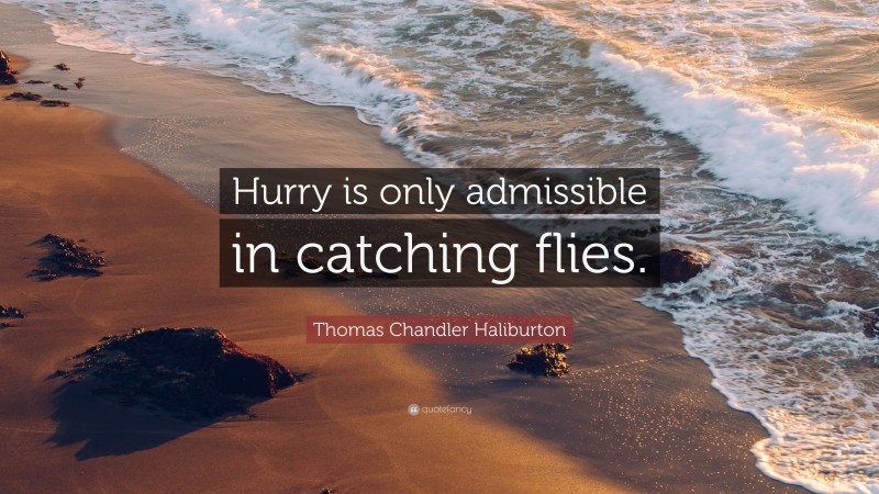 Thomas Chandler Haliburton Quote: “Hurry is only admissible in catching flies.”