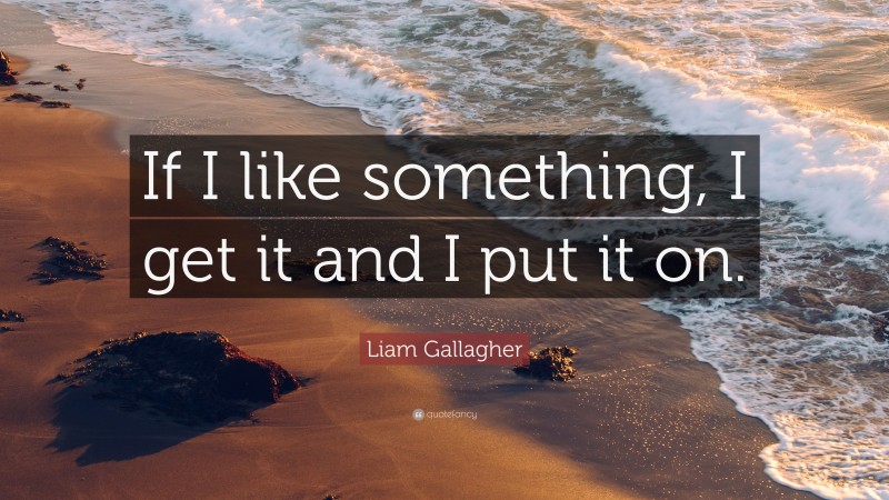 Liam Gallagher Quote: “If I like something, I get it and I put it on.”
