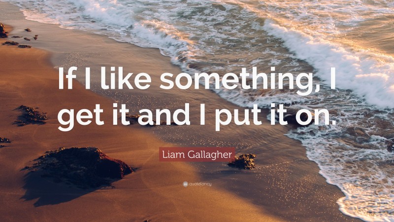 Liam Gallagher Quote: “If I like something, I get it and I put it on.”