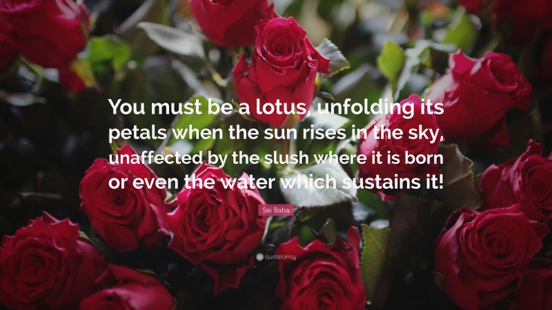 Sai Baba Quote: “You must be a lotus, unfolding its petals when the sun rises in the sky, unaffected by the slush where it is born or even the water which sustains it!”