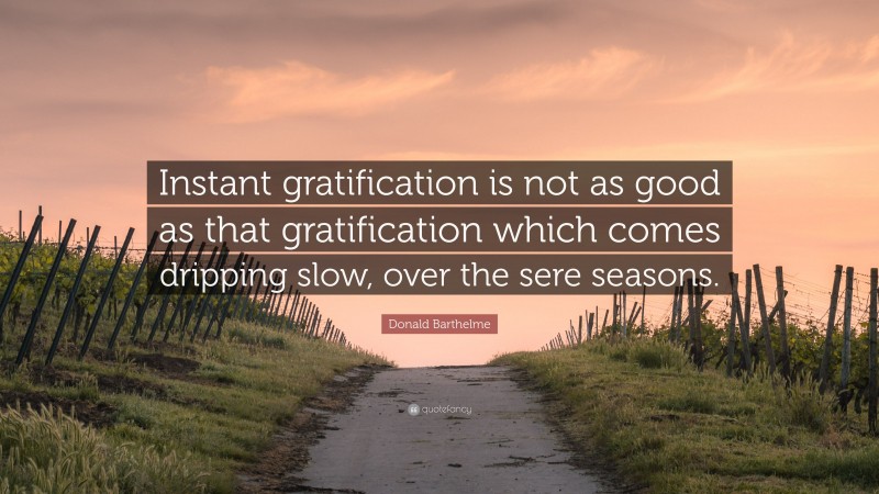 Donald Barthelme Quote: “Instant gratification is not as good as that gratification which comes dripping slow, over the sere seasons.”