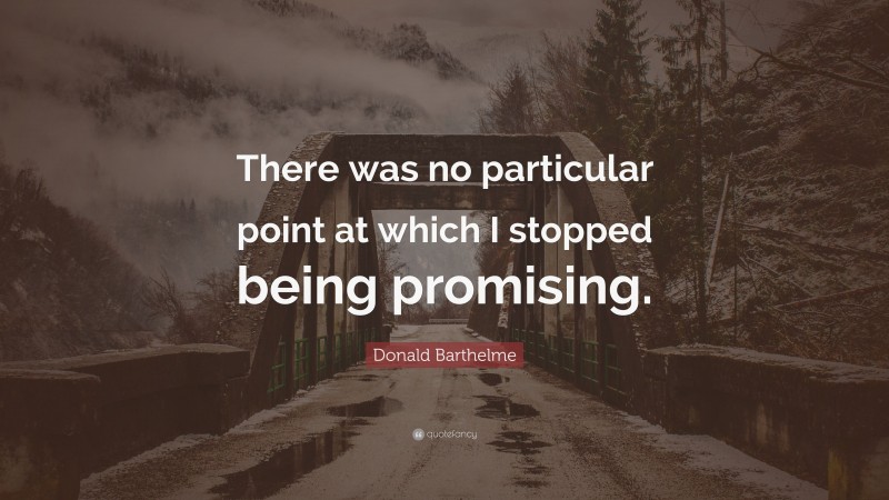Donald Barthelme Quote: “There was no particular point at which I stopped being promising.”