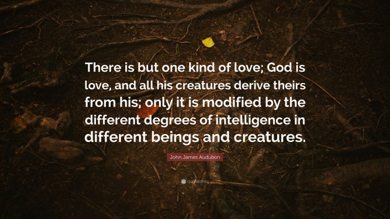 John James Audubon Quote: “There is but one kind of love; God is love, and all his creatures derive theirs from his; only it is modified by the different degrees of intelligence in different beings and creatures.”