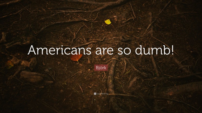 Björk Quote: “Americans are so dumb!”