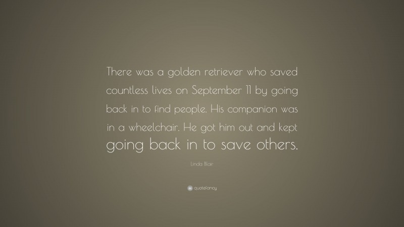 Linda Blair Quote: “There was a golden retriever who saved countless lives on September 11 by going back in to find people. His companion was in a wheelchair. He got him out and kept going back in to save others.”
