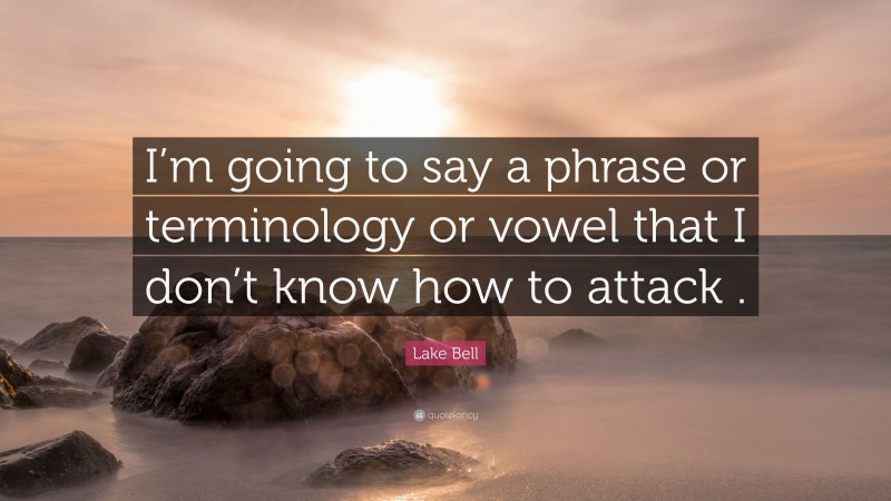 Lake Bell Quote: “I’m going to say a phrase or terminology or vowel that I don’t know how to attack .”