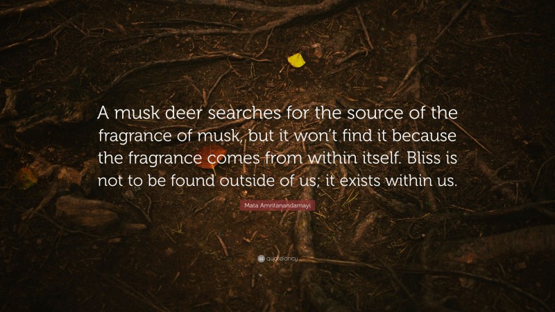 Mata Amritanandamayi Quote: “A musk deer searches for the source of the fragrance of musk, but it won’t find it because the fragrance comes from within itself. Bliss is not to be found outside of us; it exists within us.”