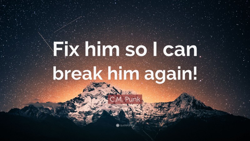 C.M. Punk Quote: “Fix him so I can break him again!”