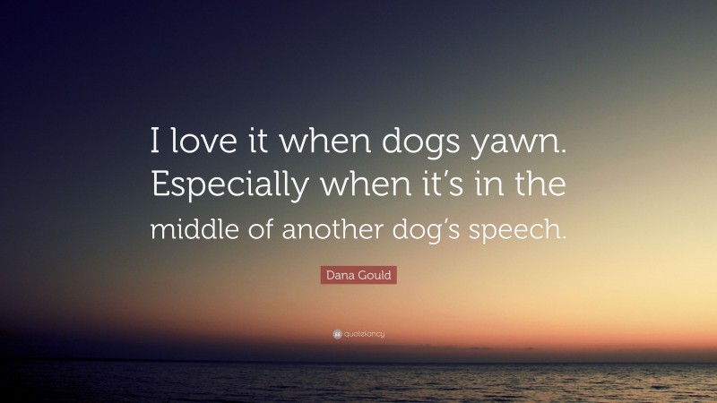 Dana Gould Quote: “I love it when dogs yawn. Especially when it’s in the middle of another dog’s speech.”