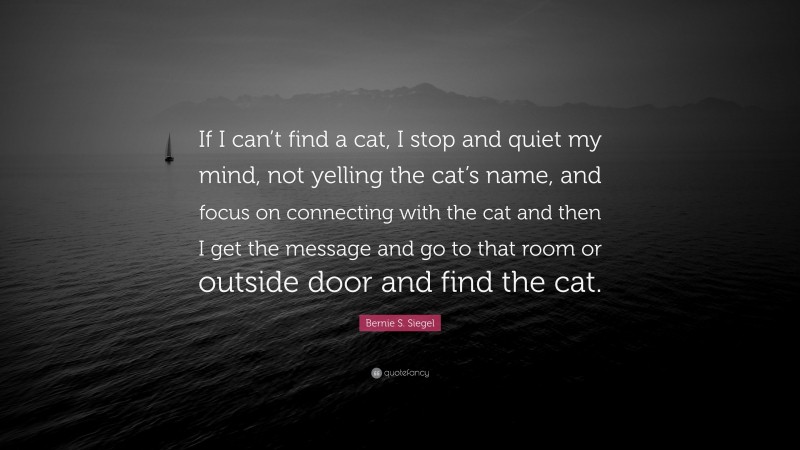 Bernie S. Siegel Quote: “If I can’t find a cat, I stop and quiet my mind, not yelling the cat’s name, and focus on connecting with the cat and then I get the message and go to that room or outside door and find the cat.”