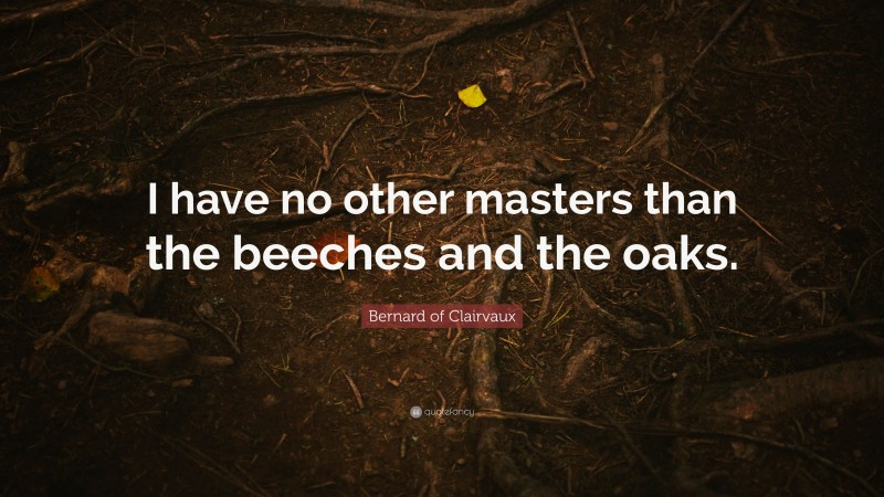 Bernard of Clairvaux Quote: “I have no other masters than the beeches and the oaks.”