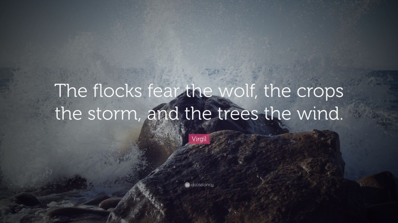 Virgil Quote: “The flocks fear the wolf, the crops the storm, and the trees the wind.”