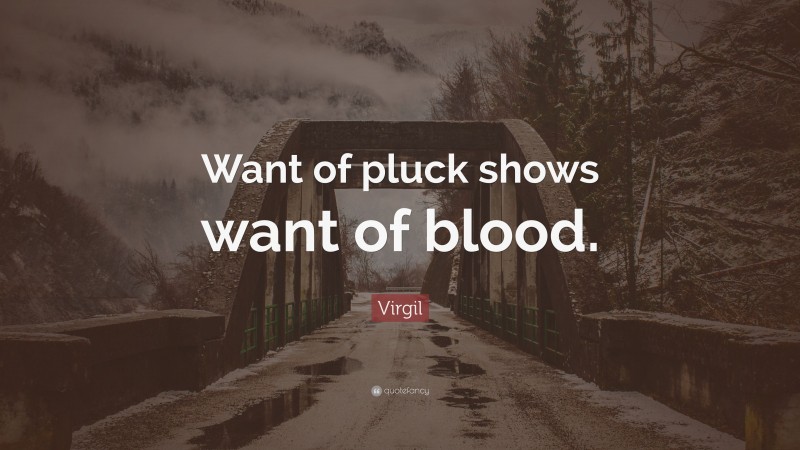 Virgil Quote: “Want of pluck shows want of blood.”