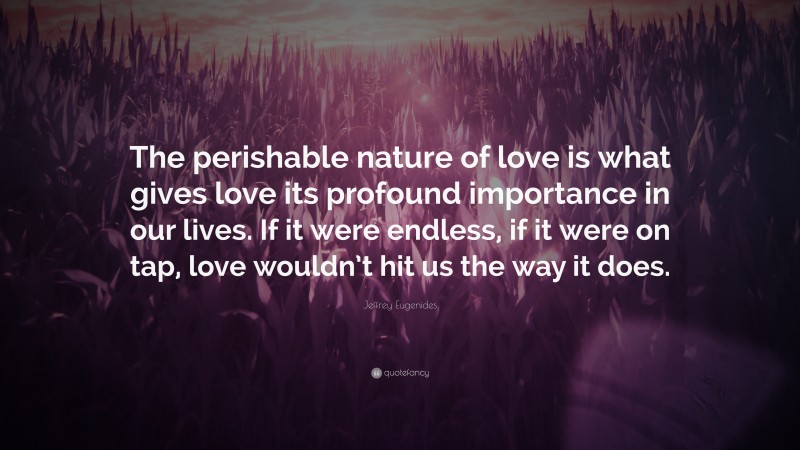 Jeffrey Eugenides Quote: “The perishable nature of love is what gives love its profound importance in our lives. If it were endless, if it were on tap, love wouldn’t hit us the way it does.”