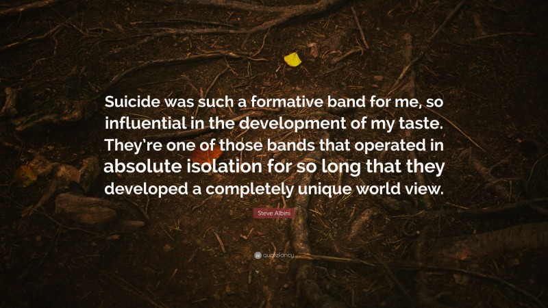 Steve Albini Quote: “Suicide was such a formative band for me, so influential in the development of my taste. They’re one of those bands that operated in absolute isolation for so long that they developed a completely unique world view.”