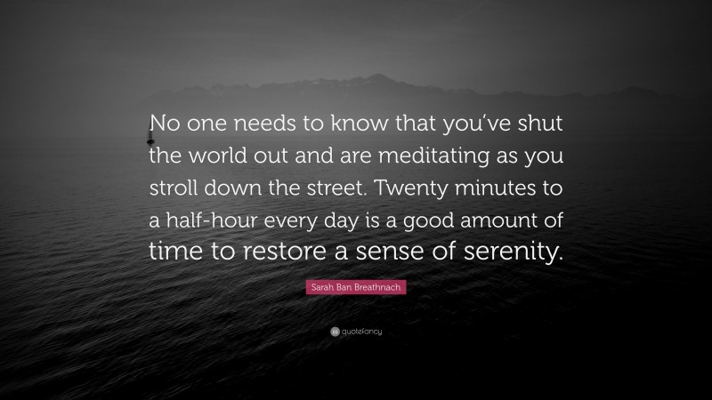 Sarah Ban Breathnach Quote: “No one needs to know that you’ve shut the world out and are meditating as you stroll down the street. Twenty minutes to a half-hour every day is a good amount of time to restore a sense of serenity.”