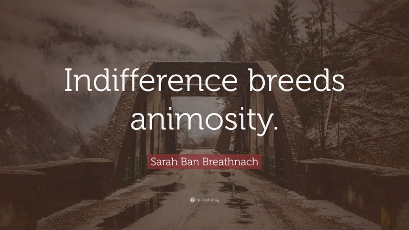 Sarah Ban Breathnach Quote: “Indifference breeds animosity.”